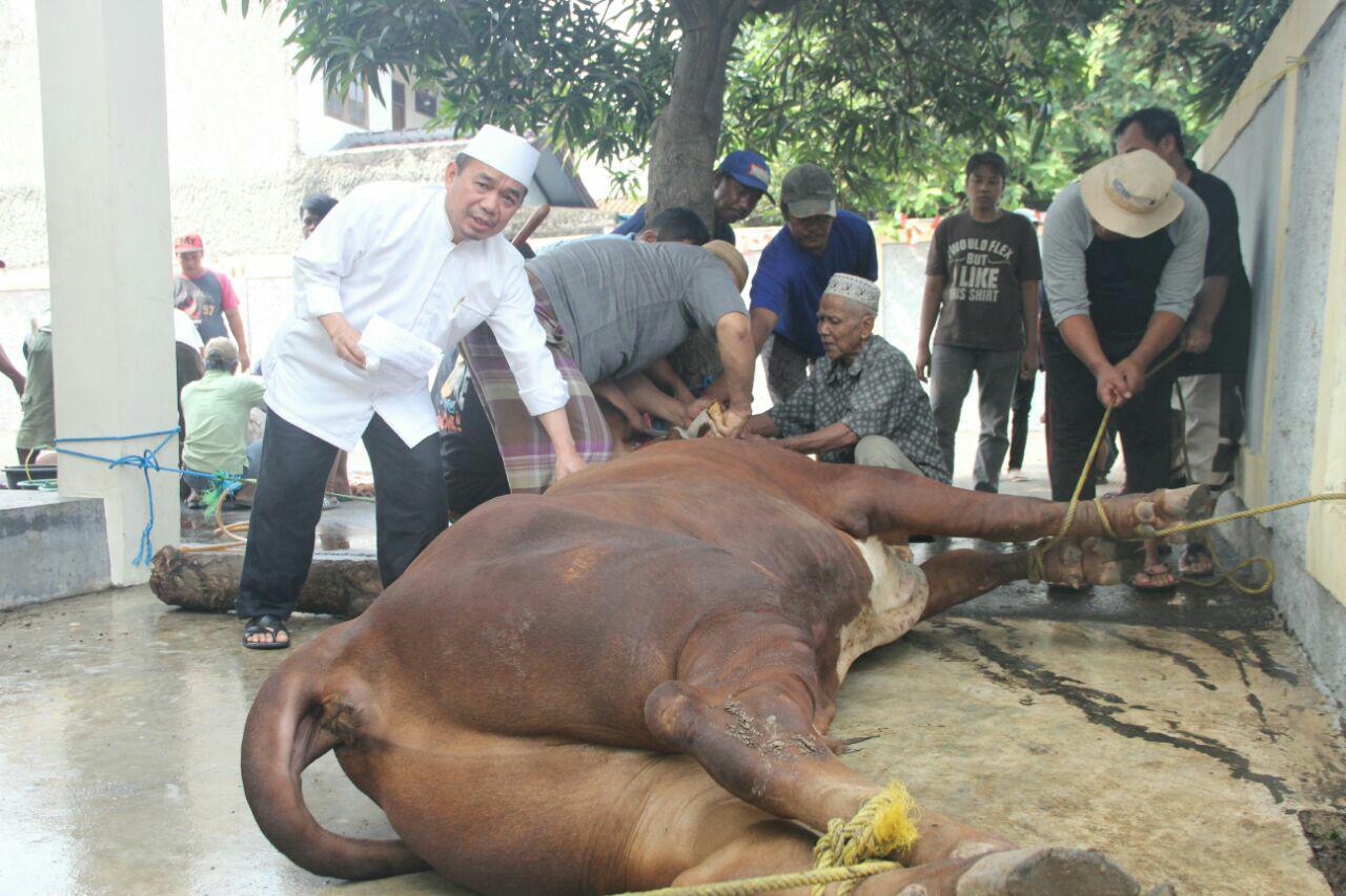 Ketua Fraksi PKS Potong 2 Ekor Sapi Seberat 1 Ton Di Kampung Sawah Ketua Fraksi PKS Potong 2 Ekor Sapi Seberat 1 Ton Di Kampung Sawah